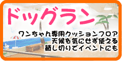 ドッグラン