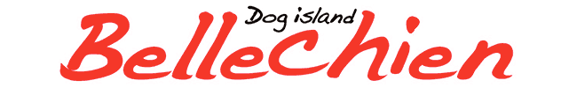 dog island bellechien