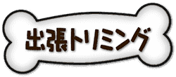 出張グルーミング
