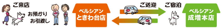 (ご来店 お預かり お引き渡し)ときわ台店 ←(ご送迎)→ 成増本店(ご宿泊)