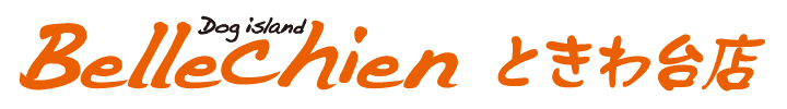 Bellechien ときわ台店