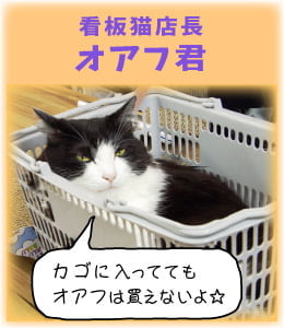 看板猫店長オアフ君