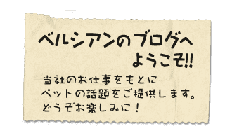 ベルシアンのブログへようこそ!! 当社のお仕事をもとにペットの話題をご提供します。どうぞお楽しみに!