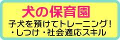 犬の保育園 子犬を預けてトレーニング! ・しつけ ・社会適応スキル