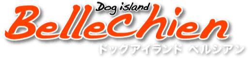 Dog island Bellechien ドッグアイランド ベルシアン