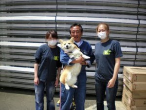 Dog care project 　コーギーちゃん♥