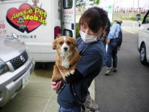 Dog care project 　抱っこパート２♥