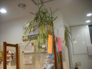 七夕です☆ 七夕です☆