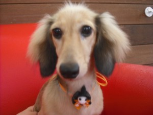 また遊びに来てね☆