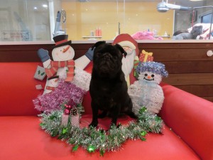 みなさーん！今年もありがとうございました☆