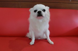 ☆リロちゃんです☆
