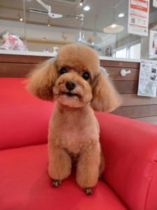 ボク、今日もがんばったよ！