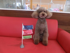 ☆モカちゃんです☆
