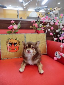 お母しゃん・・・お迎えまだでし？