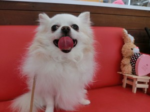 あまり体触られたくないの。。。