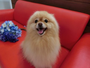 抱き心地違って、ママ驚いてたよ♪