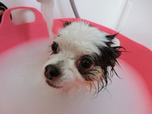 気持ちいいデチ☆
