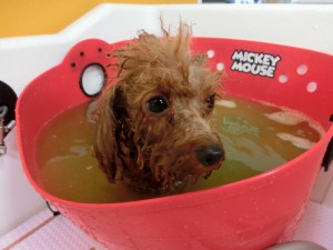 ハーブ湯も気持ちいの♪