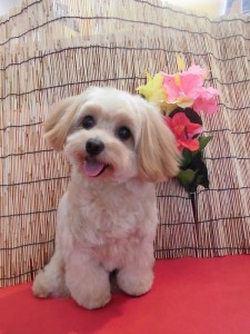 笑うとる♡
