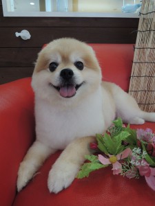 良い笑顔ですね♡