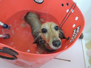 気持ちよかょ♪