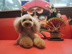 モフモフ美人