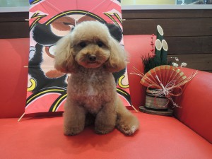 ちょーだいちょーだい♡