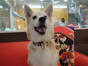 今日も元気いっぱい☆