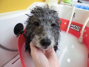 お風呂気持ちぃ♪