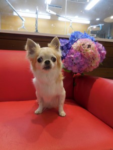 どうも。今日もおっとりのちこです！