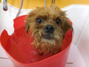 気持ちえぇですわ♪