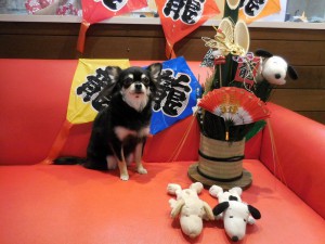 リンちゃん♪今年もヨロチク☆