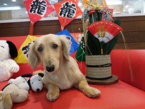 スッキリ