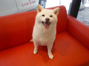 ひばりちゃん